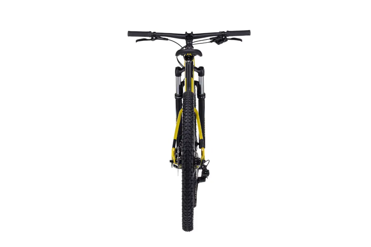 Cube Analog Flashlime'n'Black 2023