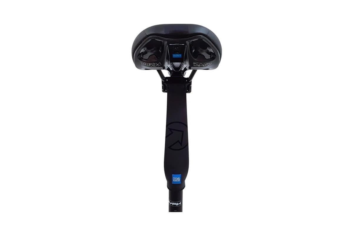 Pro Dropper post protector 