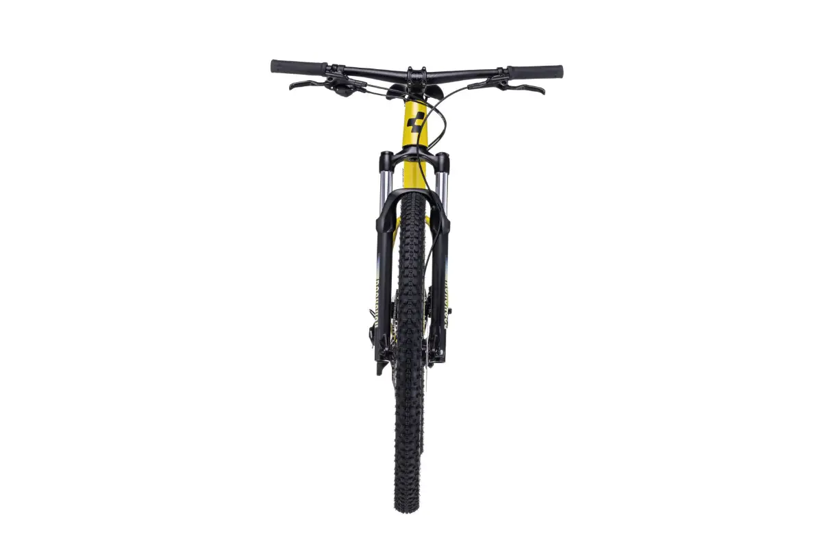 Cube Analog Flashlime'n'Black 2023