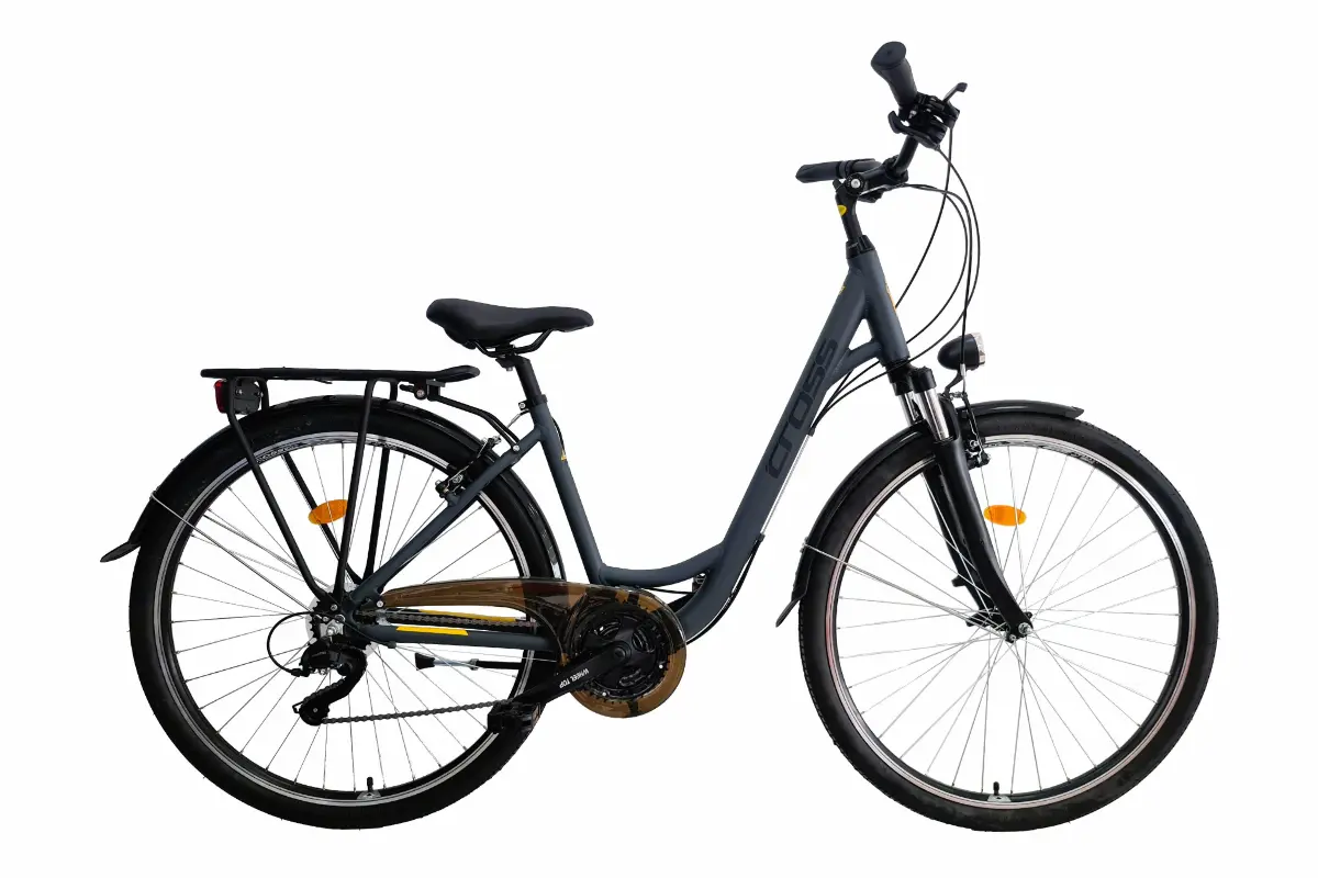 Cross arena LS 2023 28" Dark Gray 440mm